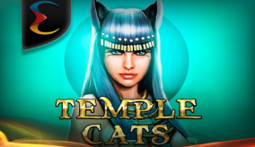 Temple Cats